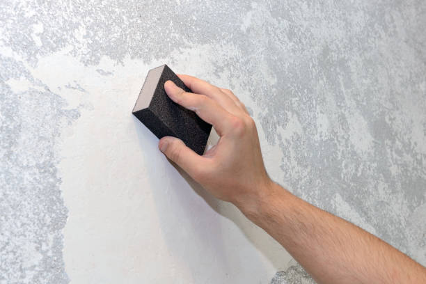 Best Mold-Related Health Consultation  in Gervais, OR