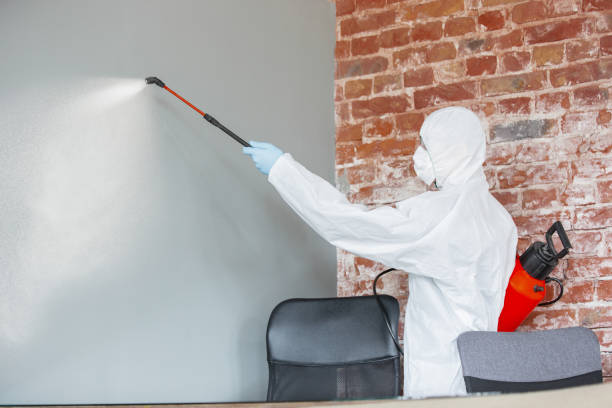 Best Attic Mold Removal  in Gervais, OR