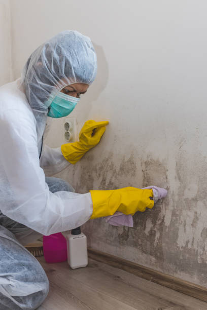 Best Airborne Mold Testing  in Gervais, OR
