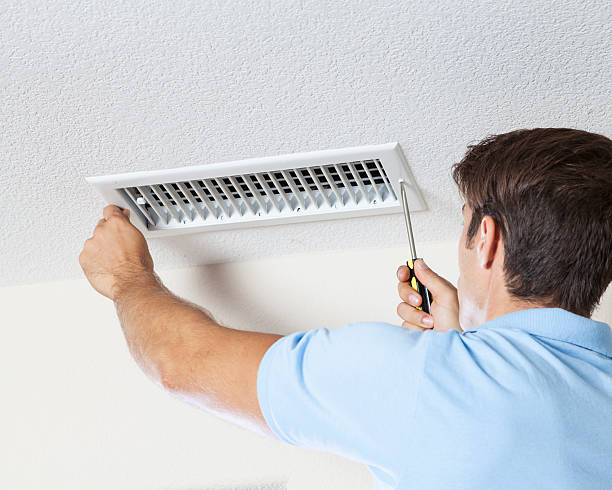 Best Mold Documentation for Insurance Claims  in Gervais, OR