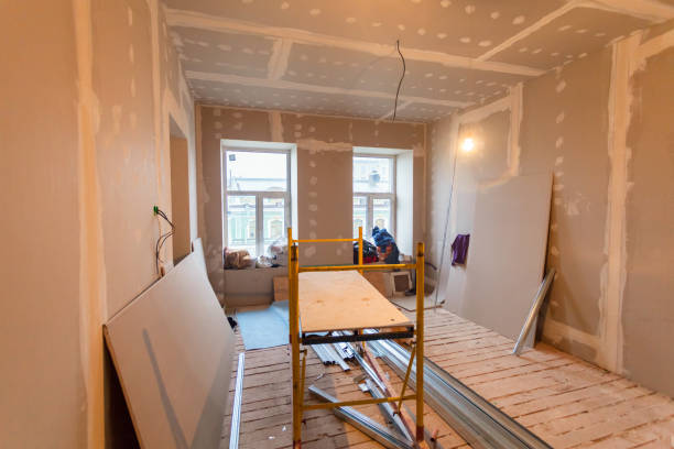 Trusted Gervais, OR Mold Removal Experts